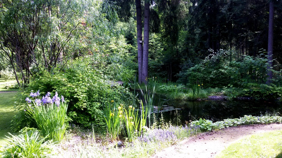 Пруд с кувшинками в пейзажном стиле
