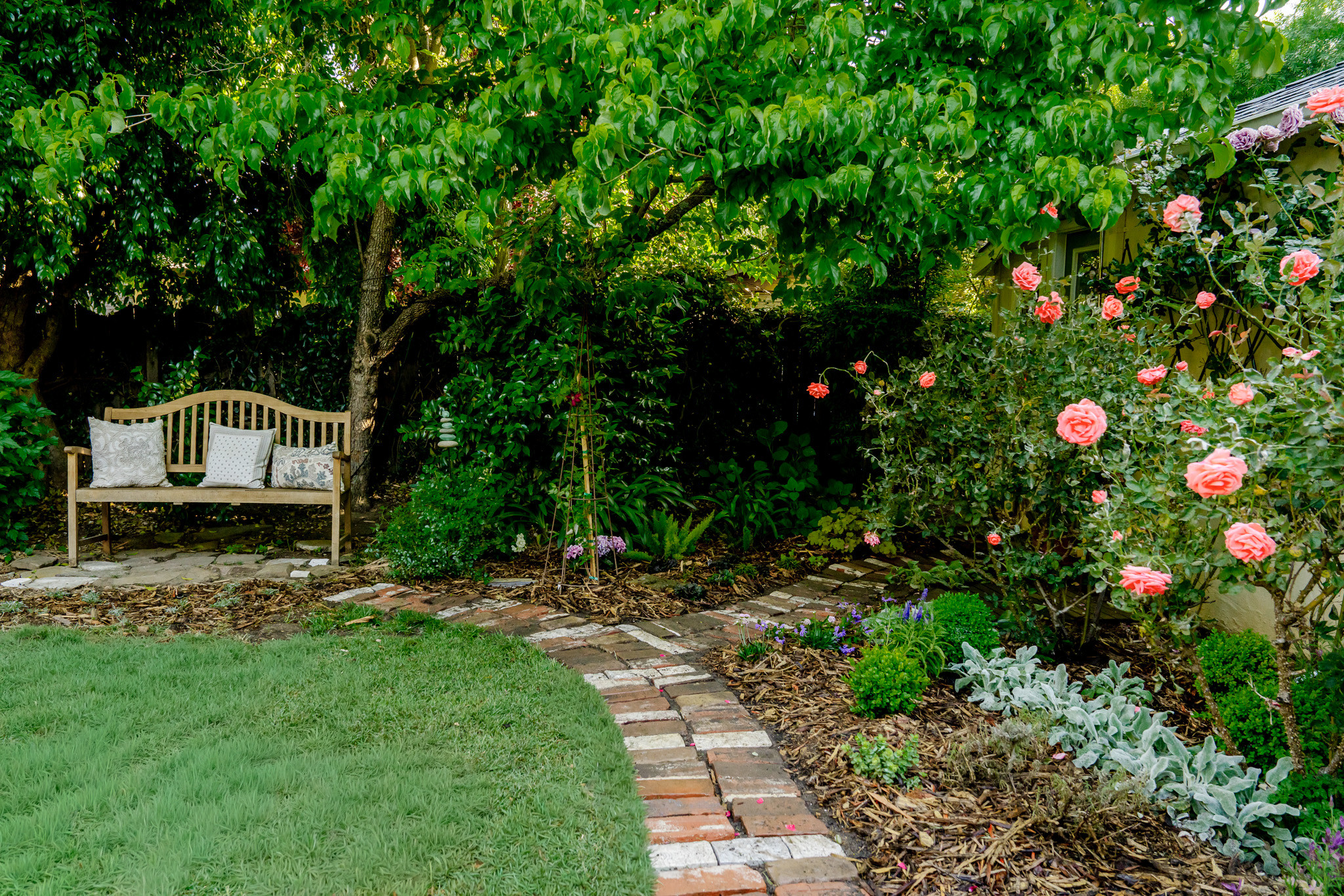 Brick Pathway Framed by Roses Toward a Shaded Bench