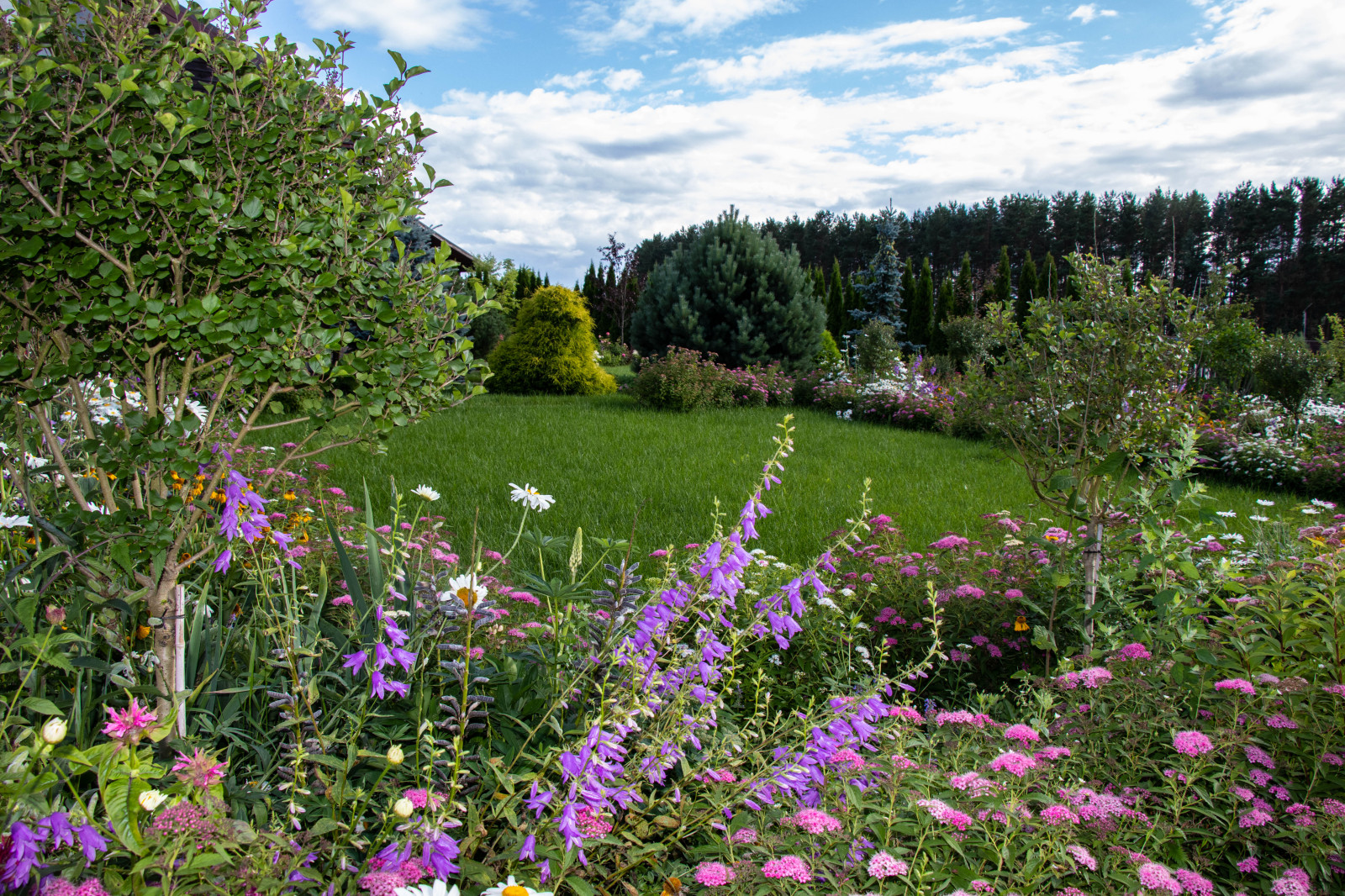 Сосновые берега