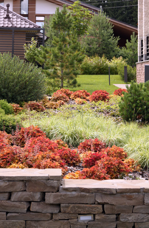 Современный сад