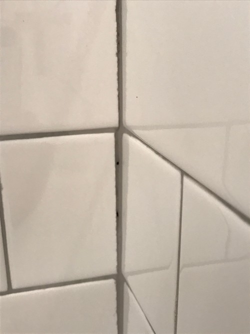 Bad tile job...help! Grout dark in certain areas/chipped tile cuts