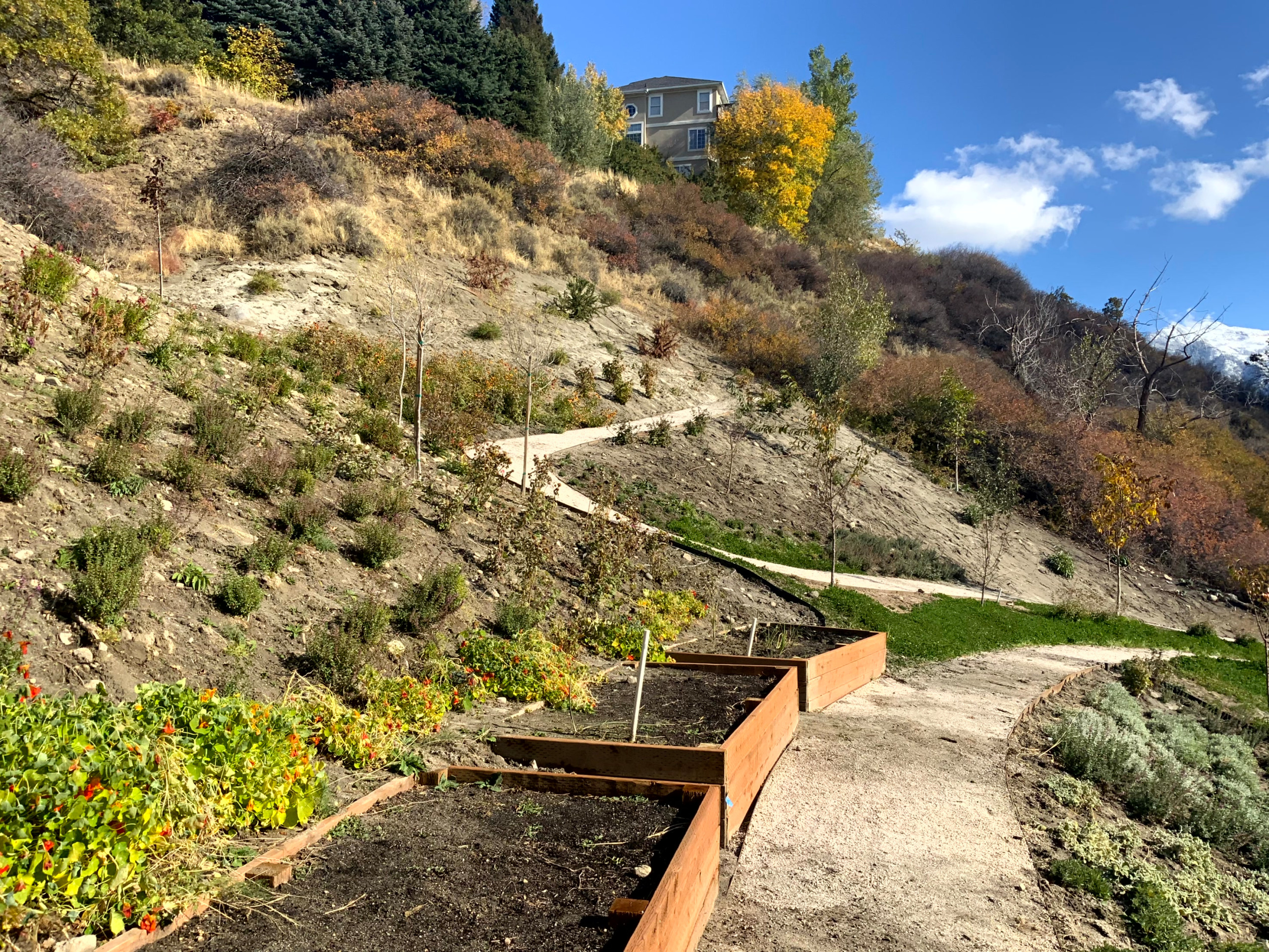 Mountain Meadow Garden