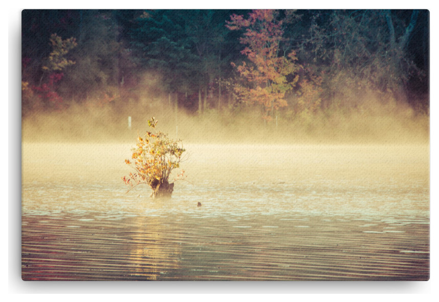 Golden Mist on Waples Pond Rural Landscape Photo Canvas Wall Art Print, 24" X 36"