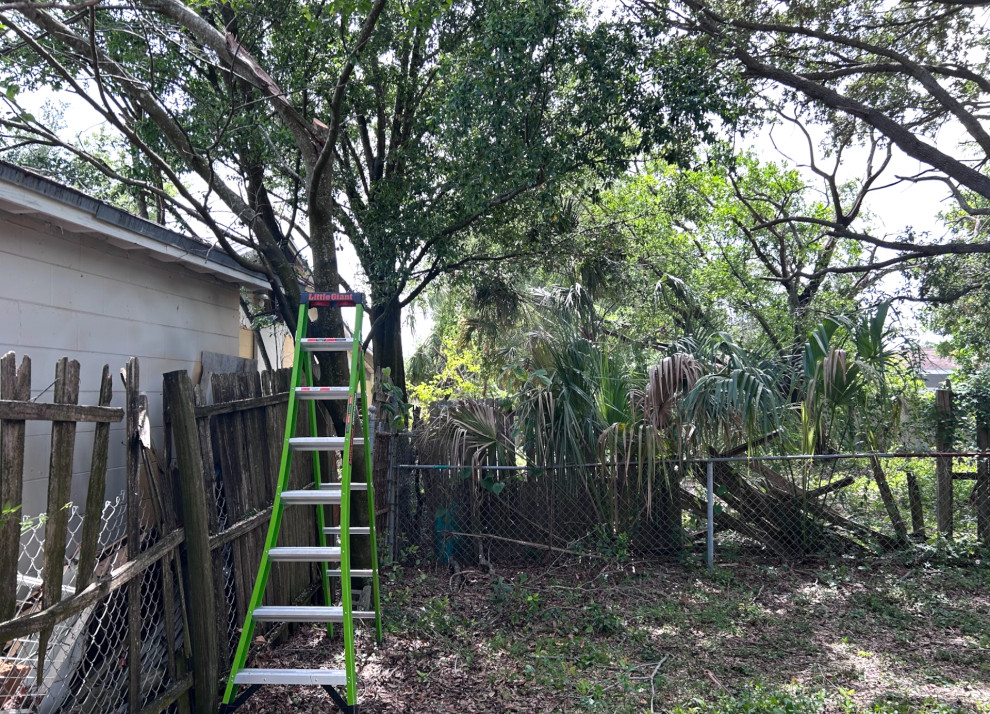 Tree Trimming