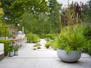 Sunny Patio Meets Shaded Woodland Retreat in a London Yard (16 photos)