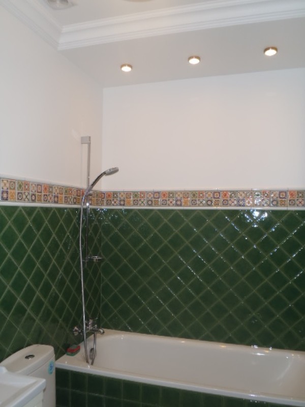 Цветы из Северной Столицы