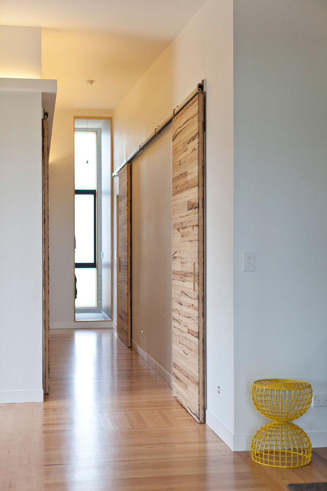 Photo of a contemporary hallway in Auckland.