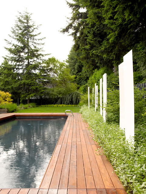 Medina Remodel contemporary-pool