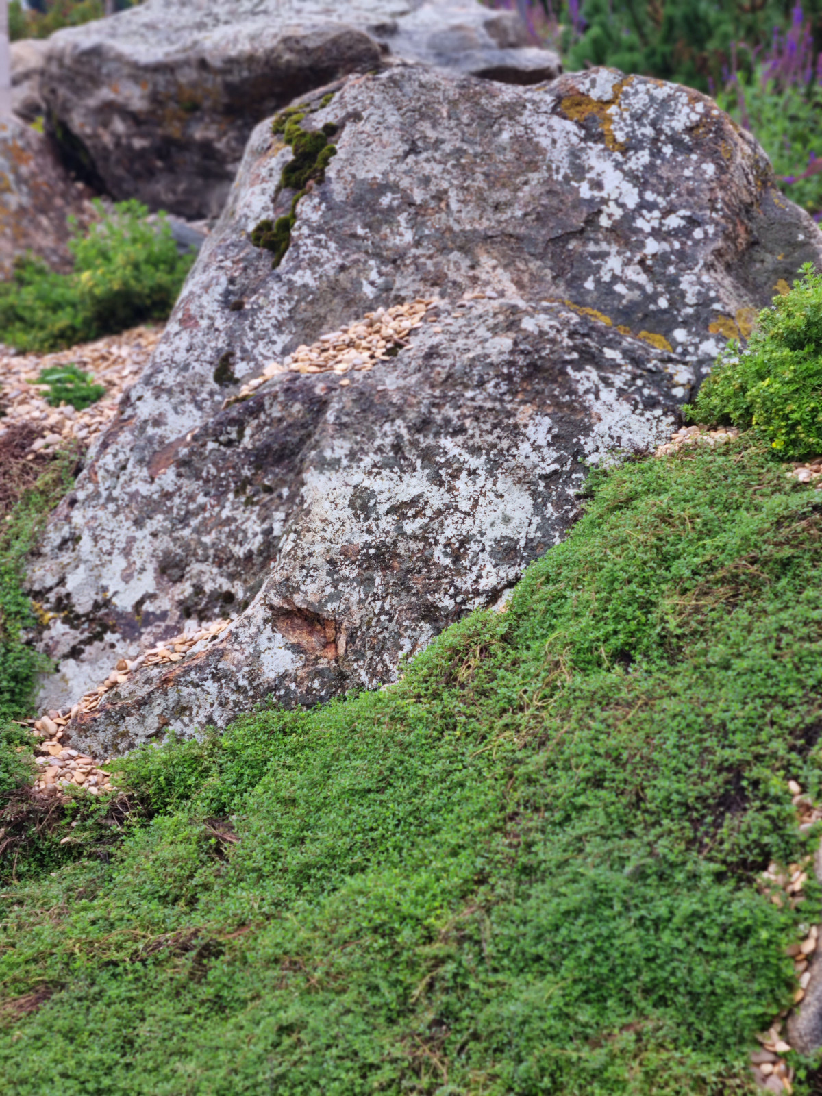 В работе 2023 и старше