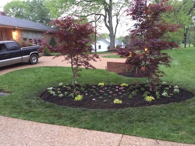 Front Yard american-traditional-garden