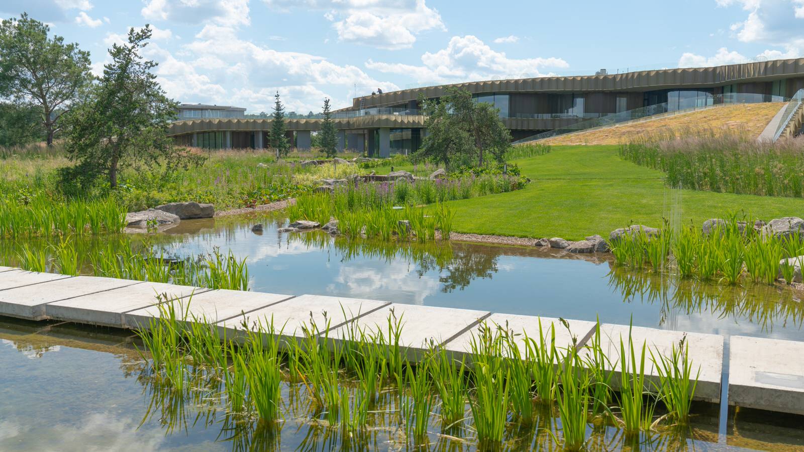 Природный сад. Жуковка XXI век. 2017-2018 гг.