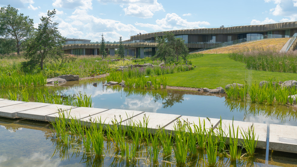 Природный сад. Жуковка XXI век. 2017-2018 гг.