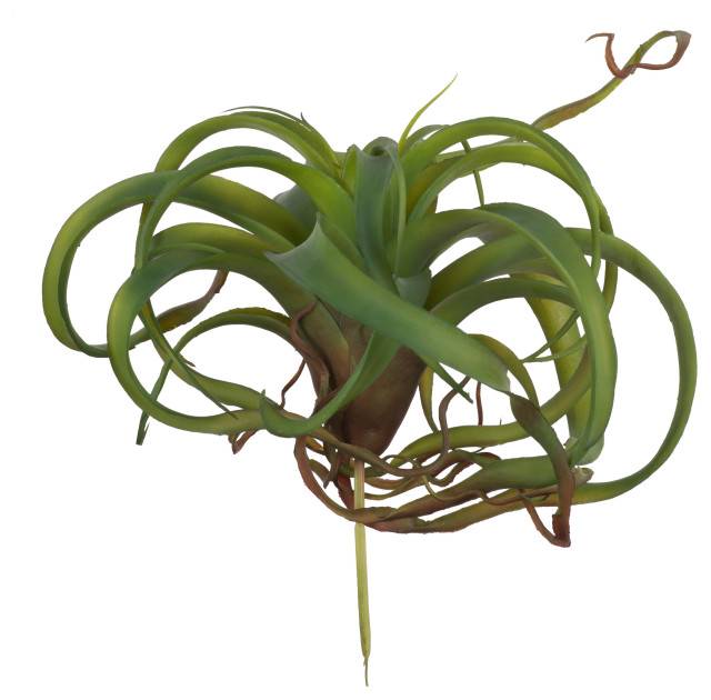 Faux Air Plant Dark Green 12x12x8" Transitional Artificial Plants
