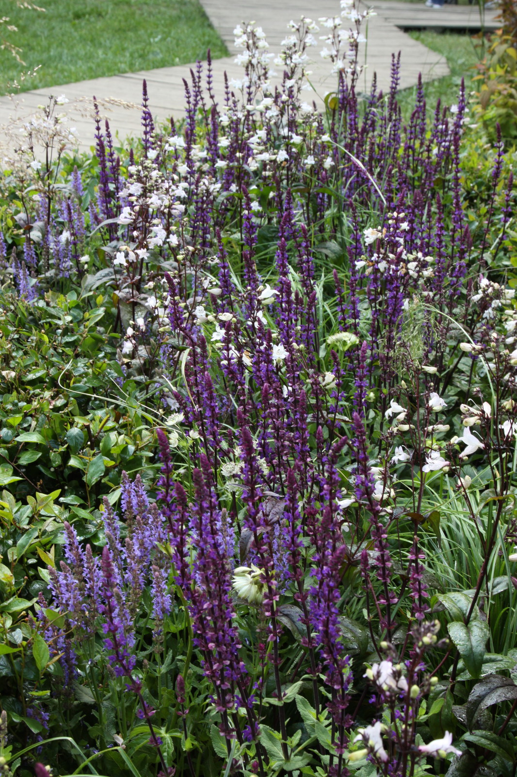 Выставочный сад "Азбука сада"