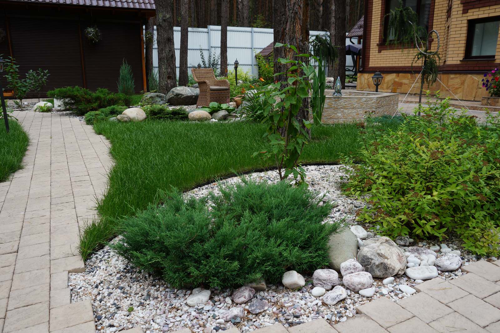 Умиротворение в сосновом лесу