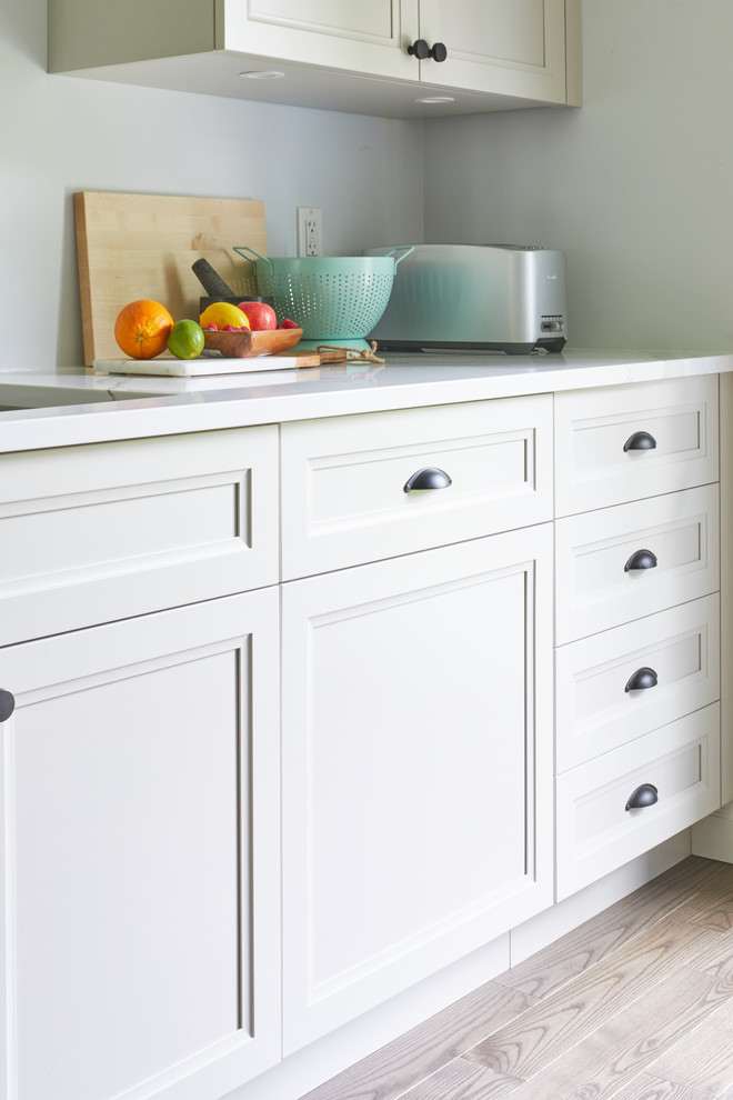 Kitchen - transitional kitchen idea in Toronto