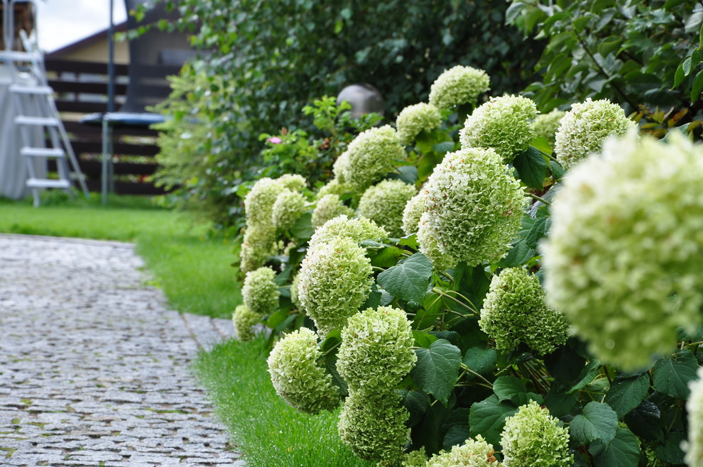 кп "Мелоди" - Уход за садом - 100% качество