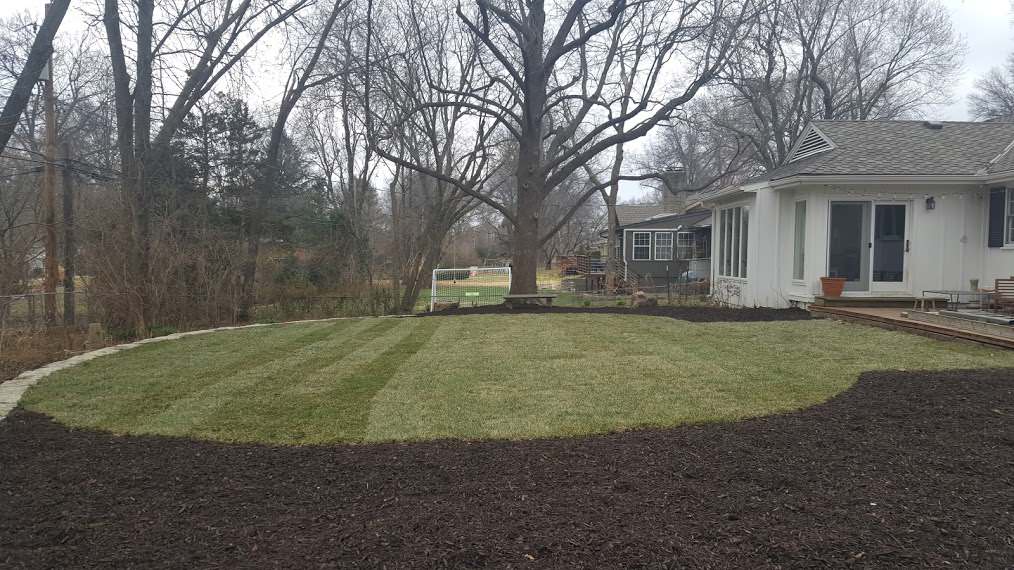 Fairway backyard AFTER