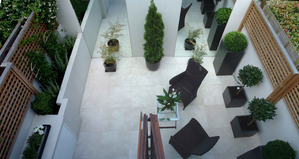 Small traditional back patio in London with a potted garden and natural stone paving.
