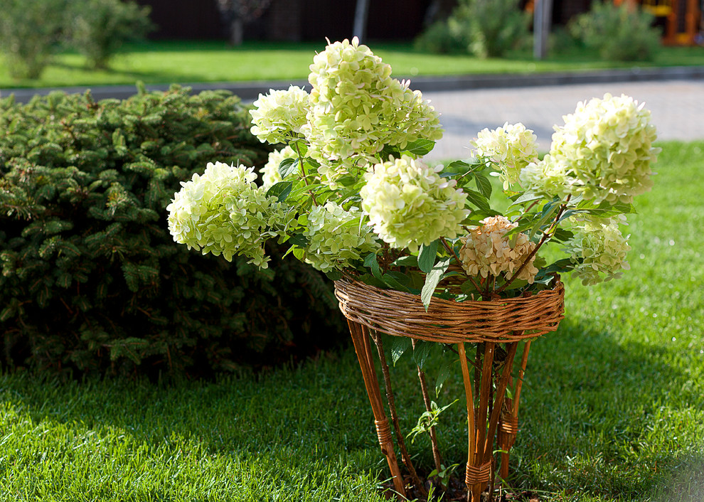 Вавиловец 1