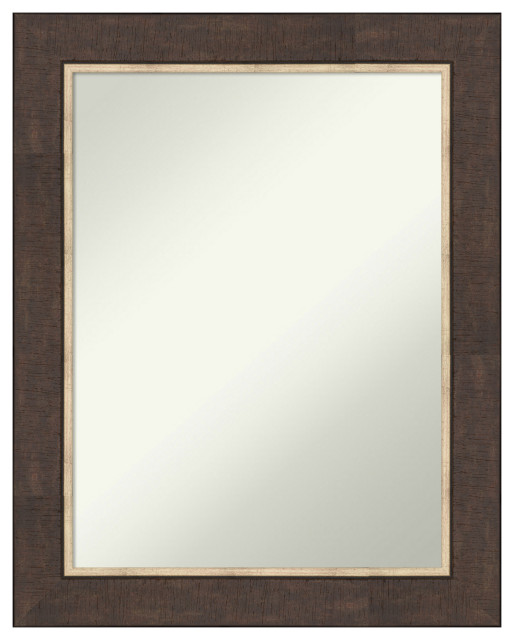 Lined Bronze Non-Beveled Wall Mirror 23x29 in.