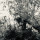 webuser_620196324