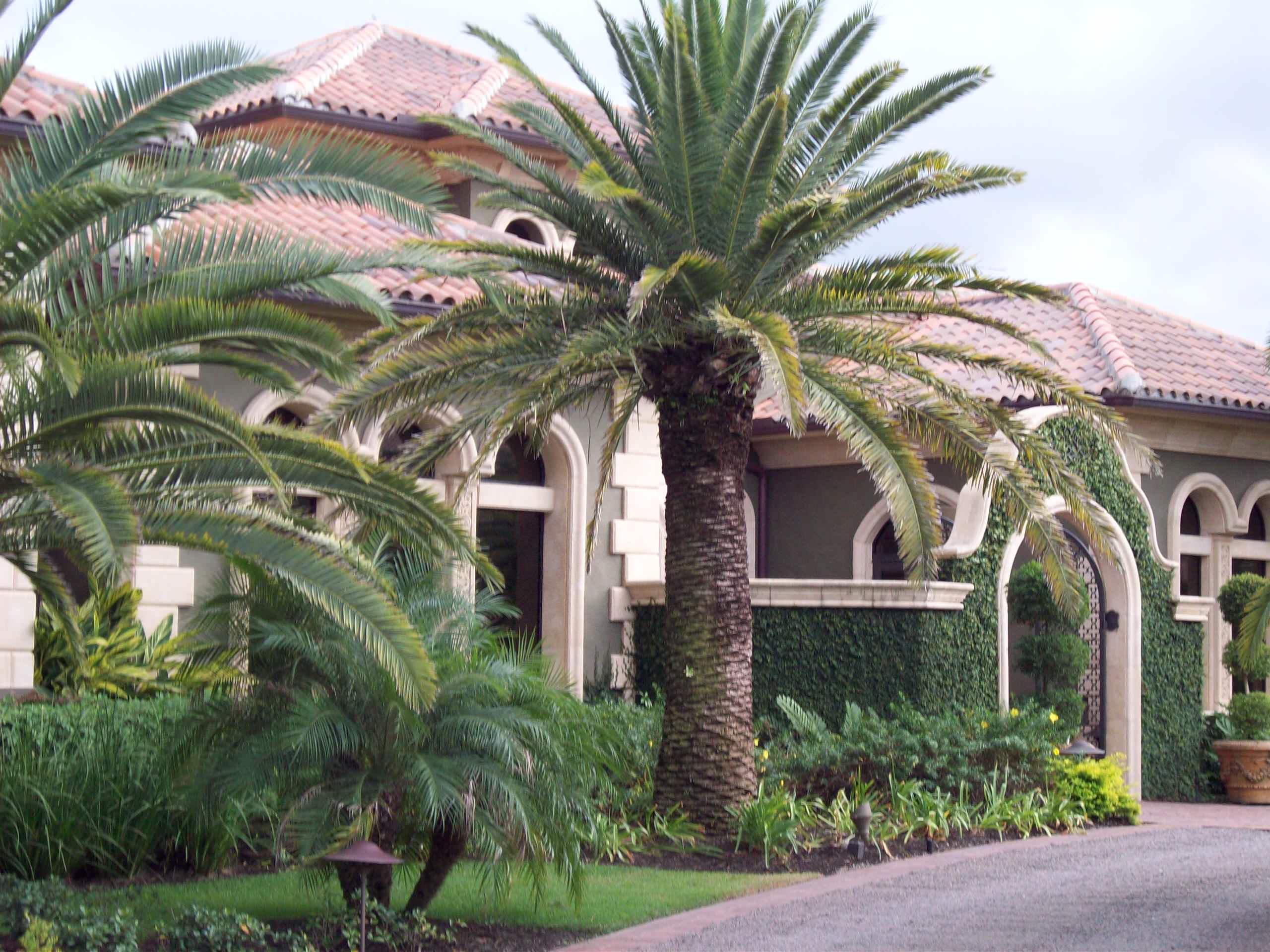 Bonita Springs/Naples House 2