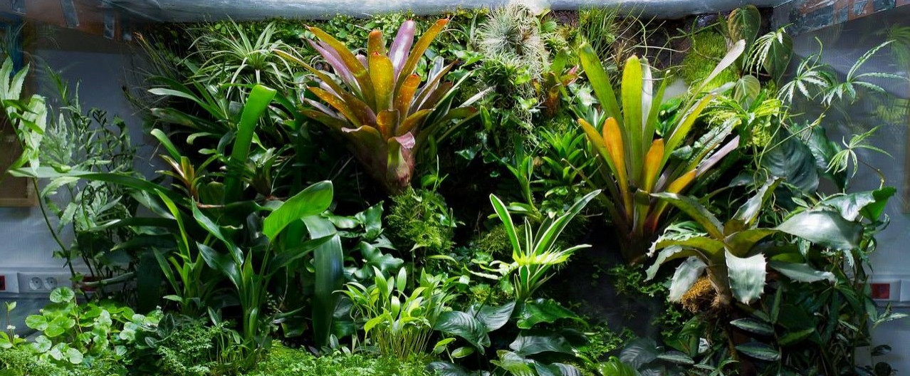 Полюдариум