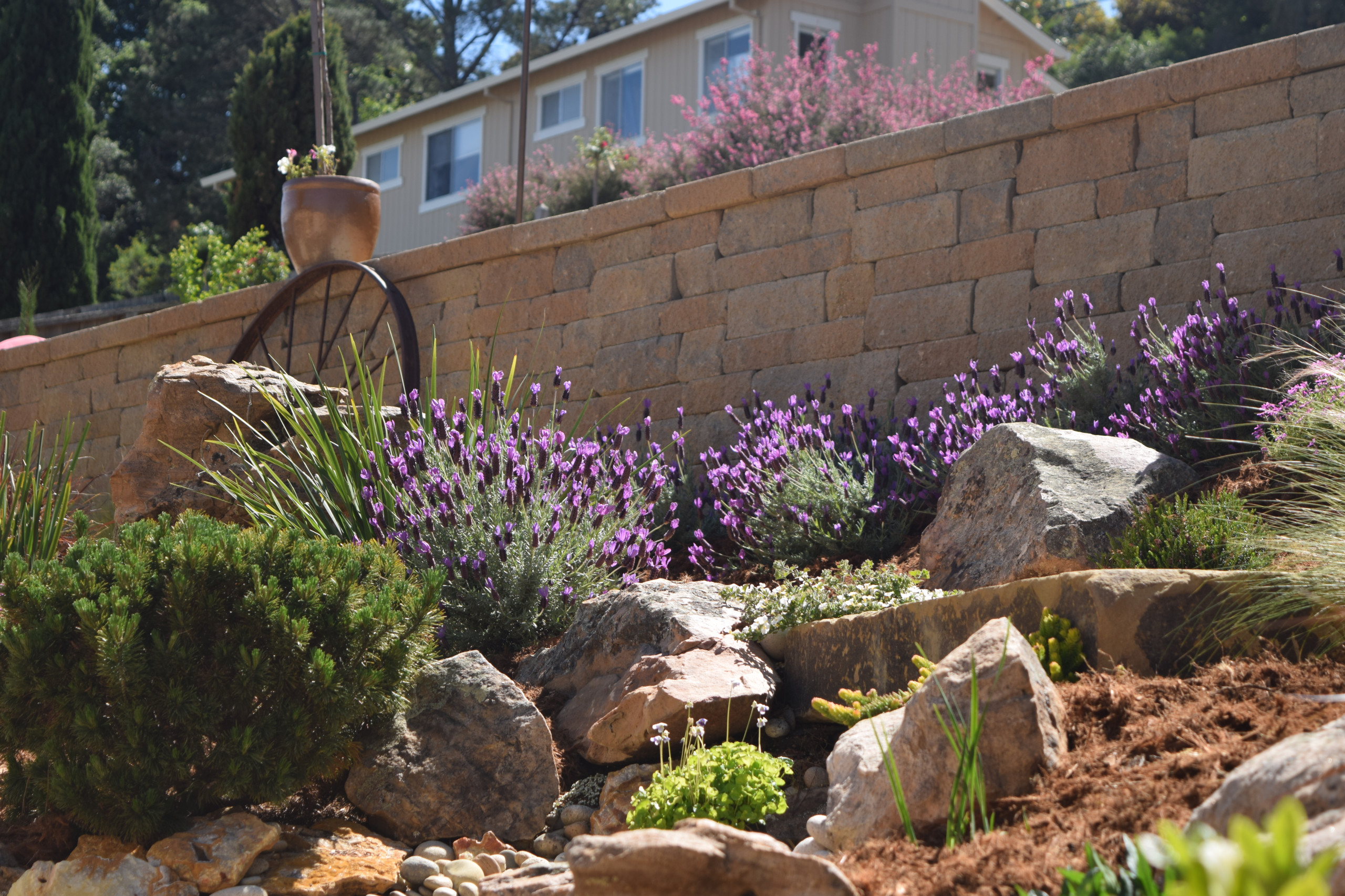 Mediterranean Backyard Transformation - Tiburon, CA
