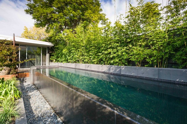 Hawthorn, Vic - New pool and landscaping contemporary-pools-and-hot-tubs