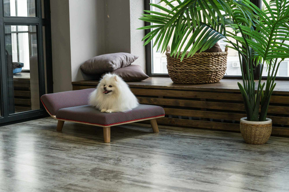 Авторская мебель для животных. Модель SONO-R