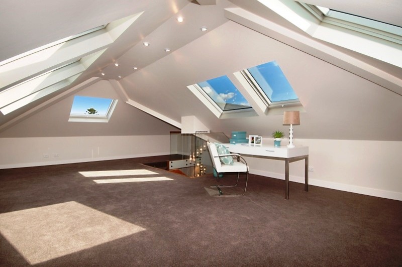 Mid-sized modern sunroom in Sydney with carpet and a skylight.