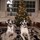carleen_schiewe