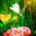 webuser_352739