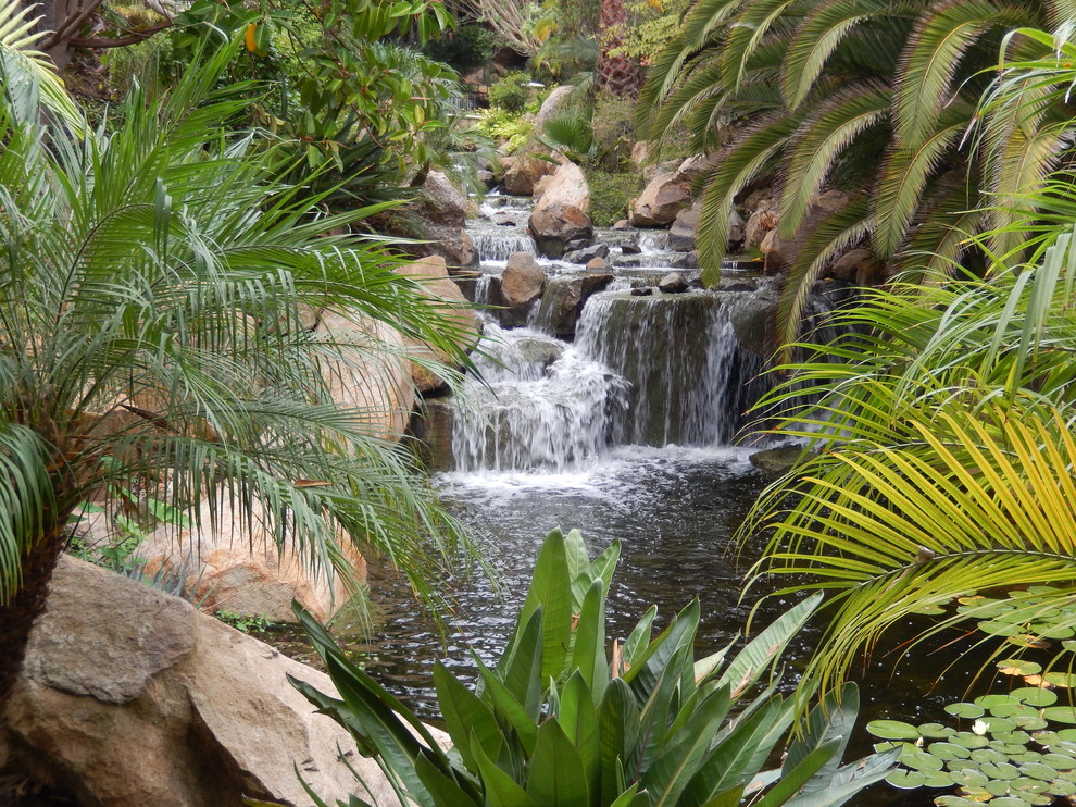 Tropical garden in San Diego.