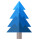 Blue Spruce