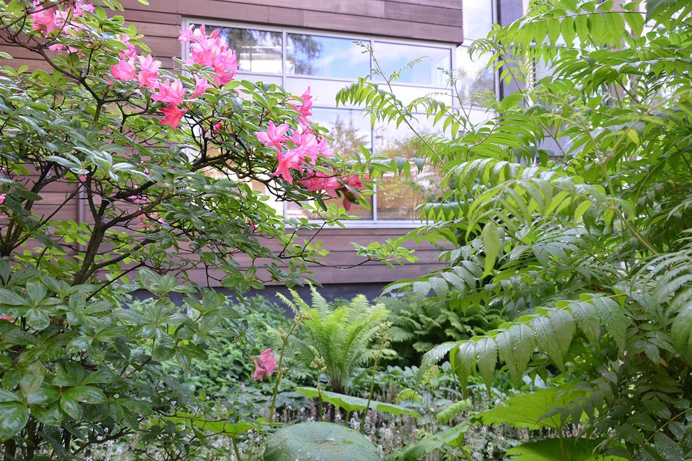 Сад с японским характером в КП Ландшафт