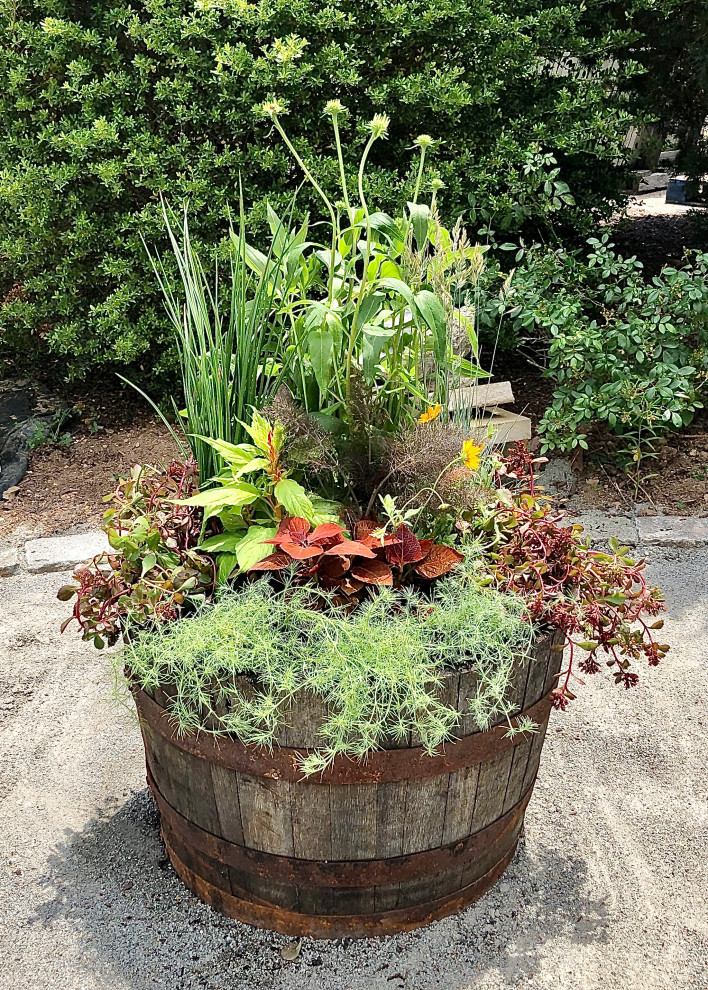 Idee per un piccolo giardino tradizionale davanti casa con un giardino in vaso