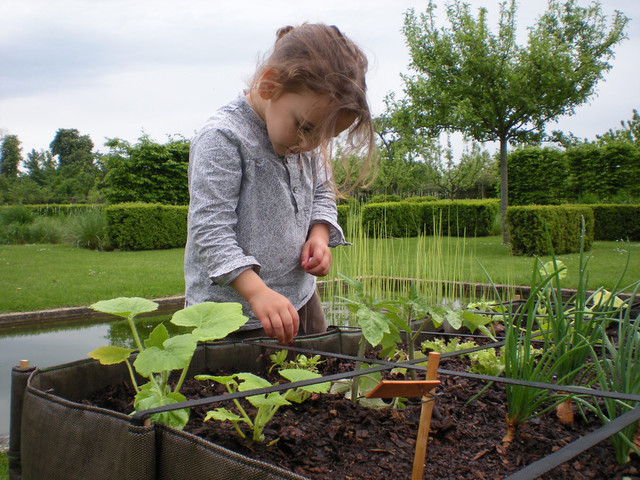 Wichtige Tipps für einen kindersicheren Garten