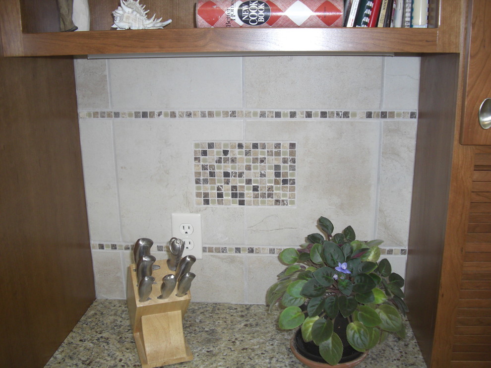 Kitchen - transitional kitchen idea in Chicago