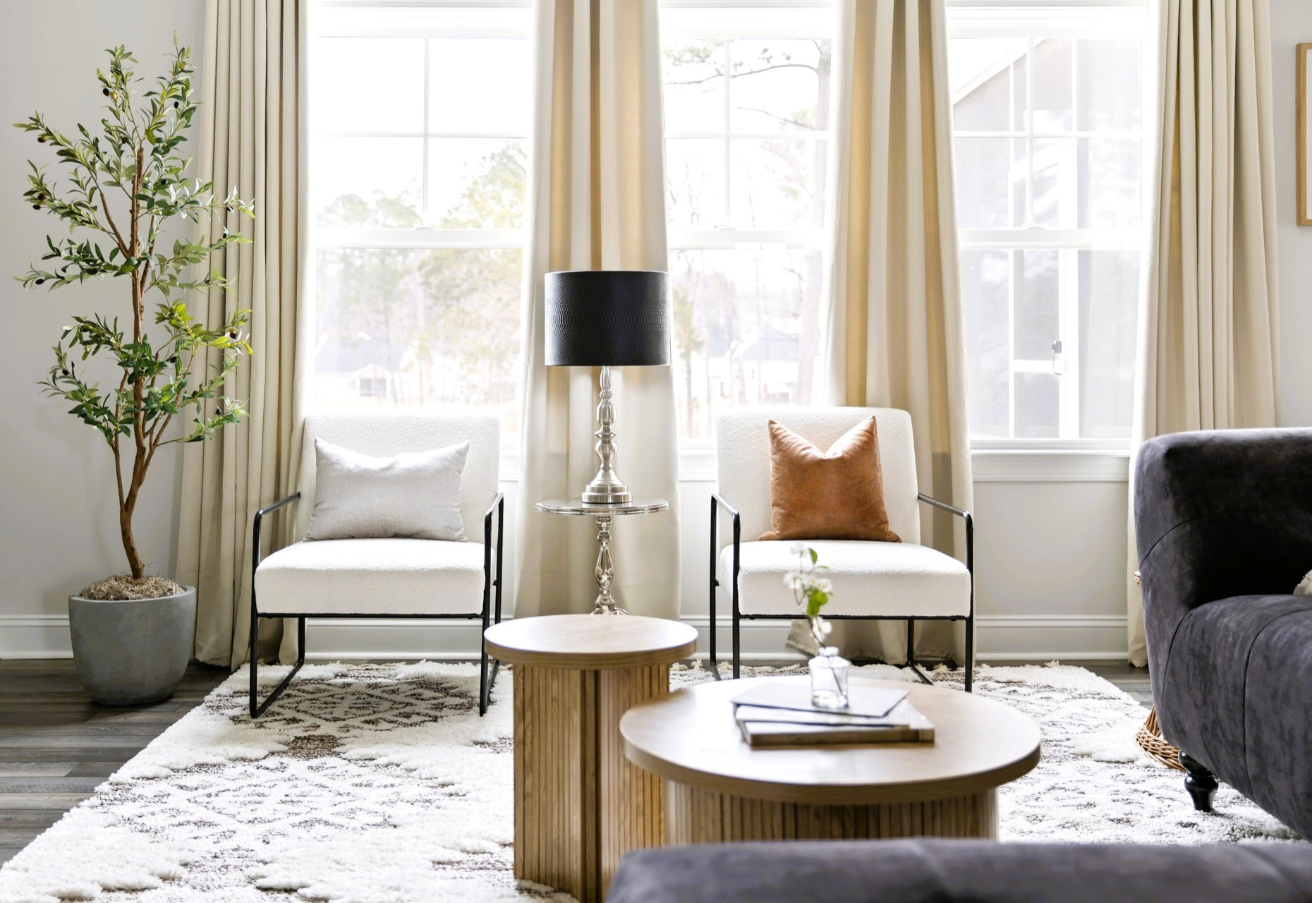 Contemporary Living Room - Durham, NC