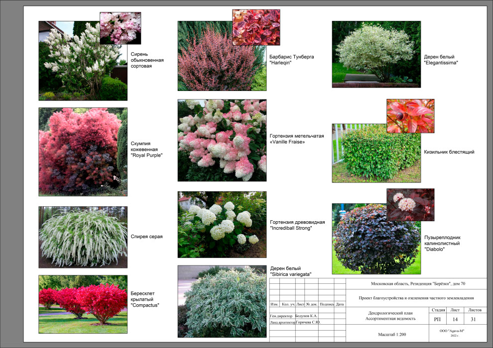 Резиденция Берёзки.