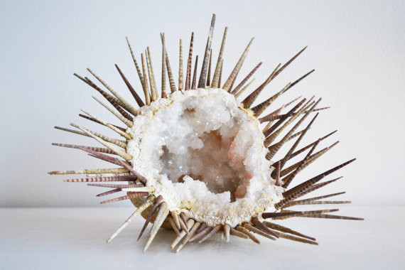 Geode Sea Urchin by Little World Design