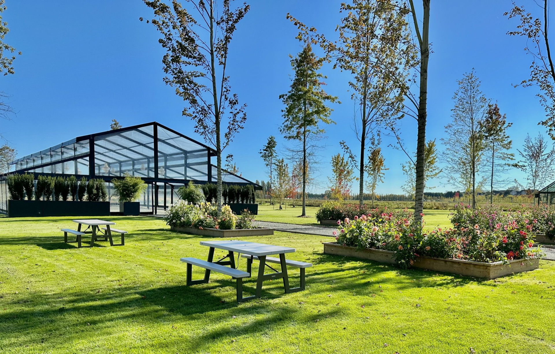 Athiana Acres:  An organic Regenerative Farm