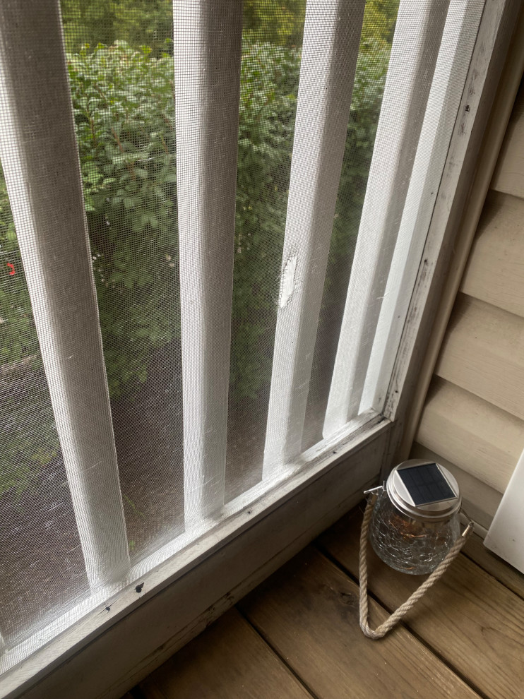 Custom Window Screens