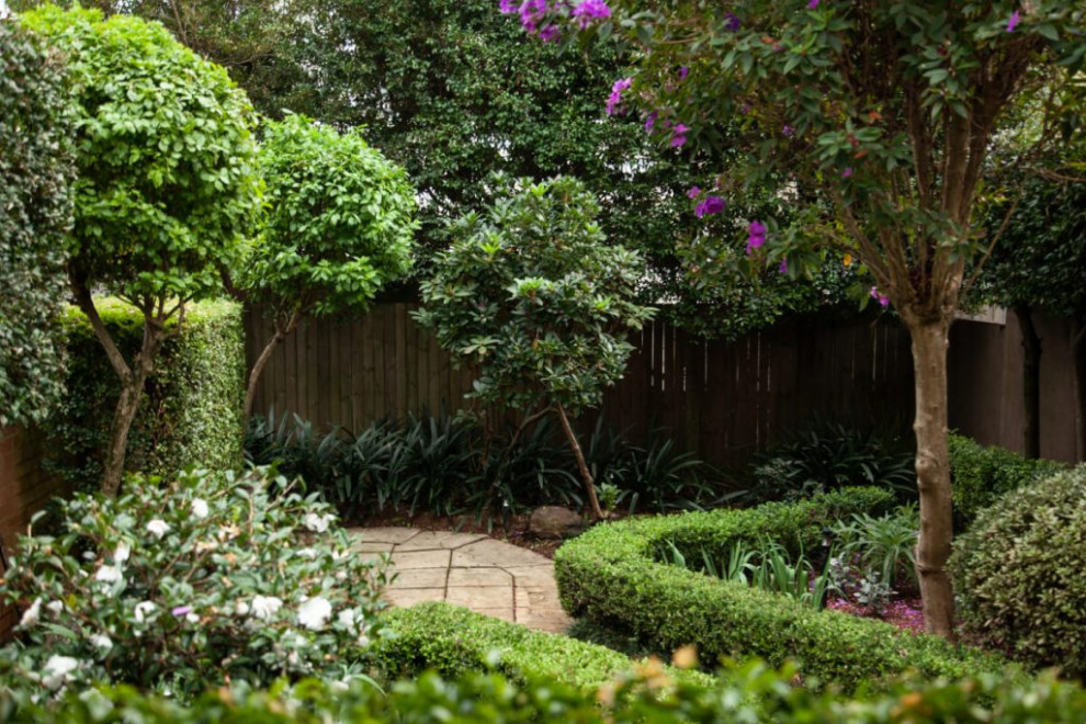 Photo of a mid-sized mediterranean courtyard partial sun formal garden for spring in Sydney with with path, concrete pavers and a wood fence.