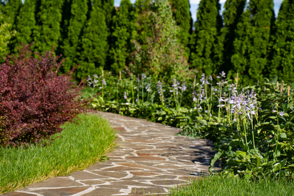 Сосновые берега