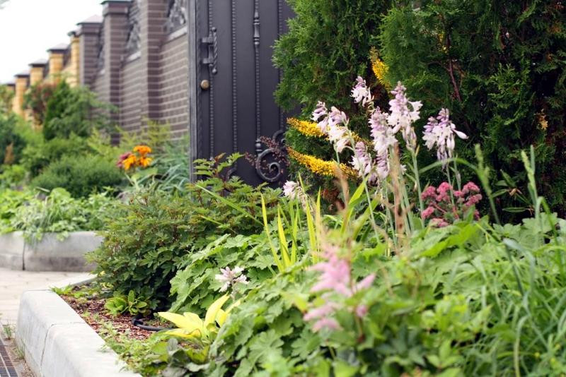 Английский сад