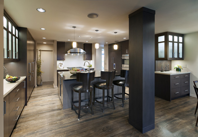 Contemporary Kitchen contemporary-koek