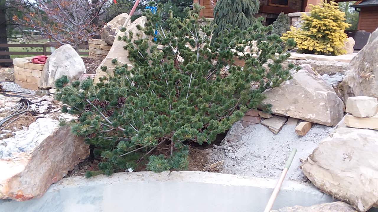 Private Greenwood Residence